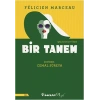 Bir Tanem