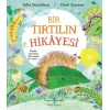 Bir Tırtılın Hikayesi