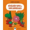 Bitkilerin Yapısı ve Sınıflandırılması