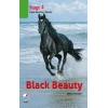 Black Beauty CD’siz (Stage 4)