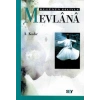 Bugünün Diliyle Mevlana