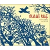 Bulut Kuş