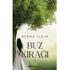 Buz Kırağı 3