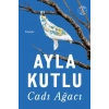 Cadı Ağacı