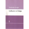 Çalkantı ve Dalga