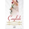 Çaylak