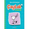 Çaylak - İş Başında