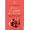 Çekim Yasasının Mucizeleri