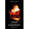 Çekip Giderdin