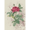 Çiçek - 2 / Kartpostal