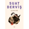 Çılgın Gibi