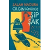 Çılgın Süpürge Şipşak