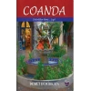 Coanda