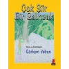 Çok Şiir Bir Salıncak