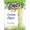Çorap Ağacı