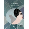 Dişi Kedi