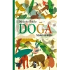 Dünyadan Öyküler: Doğa