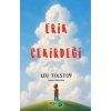 Erik Çekirdeği