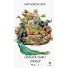 Fantastik Sihirli Öyküler-Macera 1
