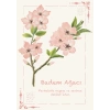 Badem Ağacı / Kartpostal