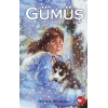 Gümüş