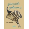 Gümüşle Yıkanmış