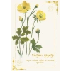 Düğün Çiçeği / Kartpostal