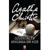 Güvercinler Arasında Bir Kedi