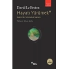 Hayatı Yürümek: Sakin Bir Mutluluk Sanatı