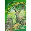 Hayvanları Tanıyorum - Orman Hayvanları