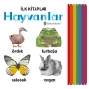 İlk Kitaplar - Hayvanlar (Ciltli)