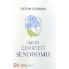 İncir Çekirdeği Sendromu