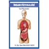İnsan Fizyoolojisi