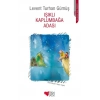 Işıklı Kaplumbağa Adası