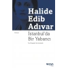 İstanbulda Bir Yabancı