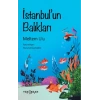 İstanbul’un Balıkları