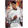 Jude Bellingham