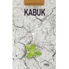 Kabuk