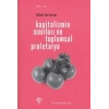 Kapitalizmin Sınırları ve Toplumsal Proletarya