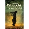 Kara Melek