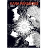 Kara Paradoks (Bez Cilt)