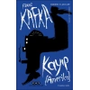 Kayıp -Amerika