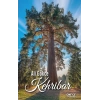 Kehribar