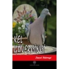 Kel Güvercinci