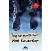 Kış Ortasında Kan