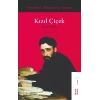 Kızıl Çiçek