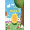 Küçük Ayçiçeği