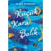 Küçük Kara Balık