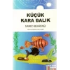 Küçük Kara Balık