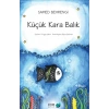 Küçük Kara Balık